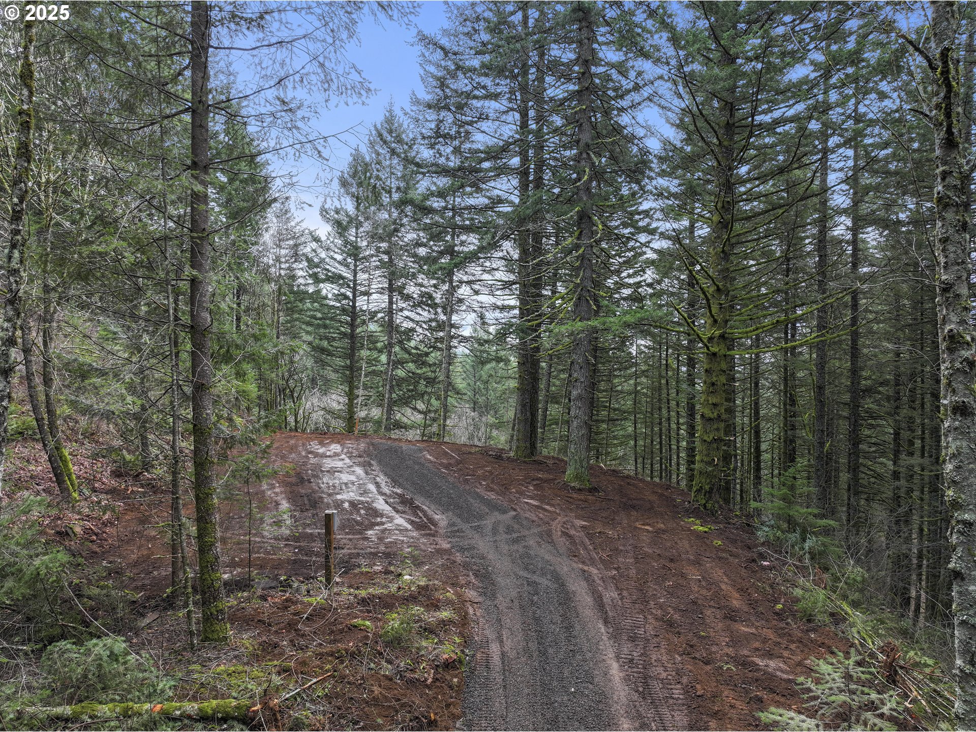 Kueffler Road Stevenson, WA 98648 - Photo 27 of 36 a view of a forest with trees in the background