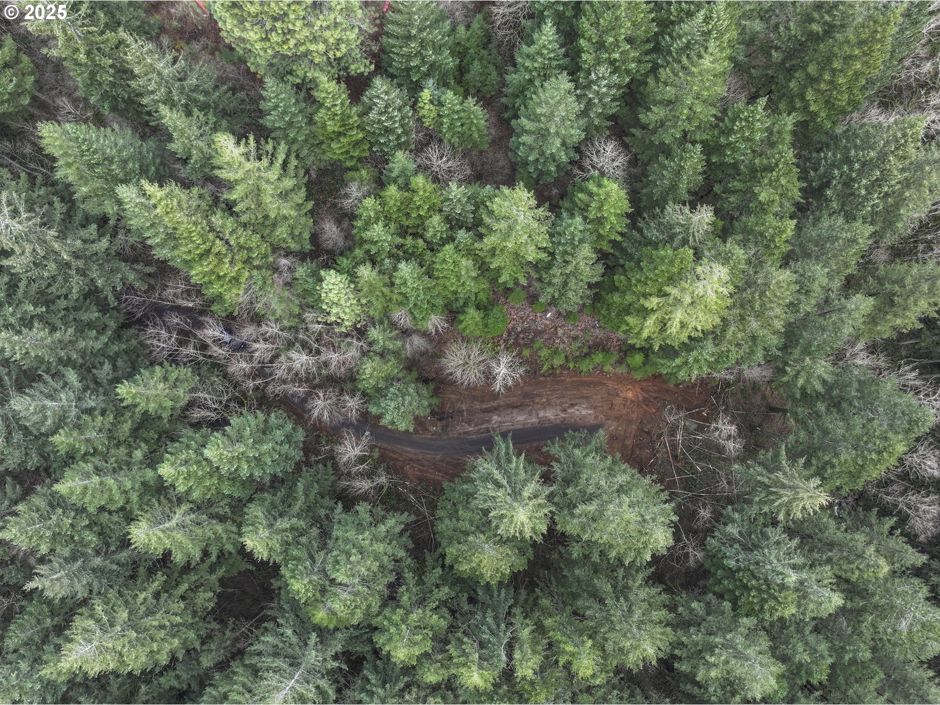 Kueffler Road Stevenson, WA 98648 - Photo 28 of 36 a view of a large yard with lots of green space