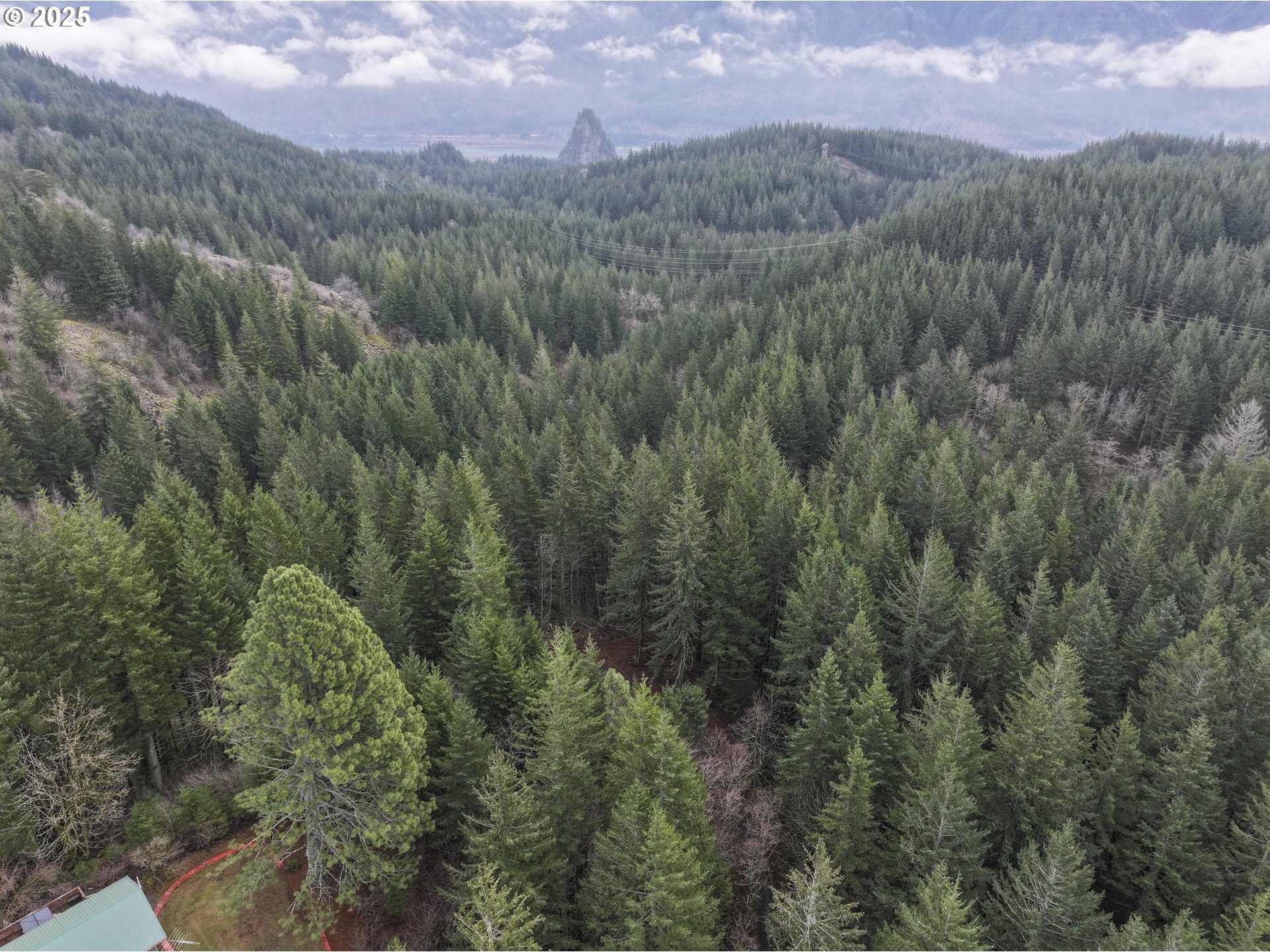 Kueffler Road Stevenson, WA 98648 - Photo 33 of 36 a view of a lush green forest with mountains in the background