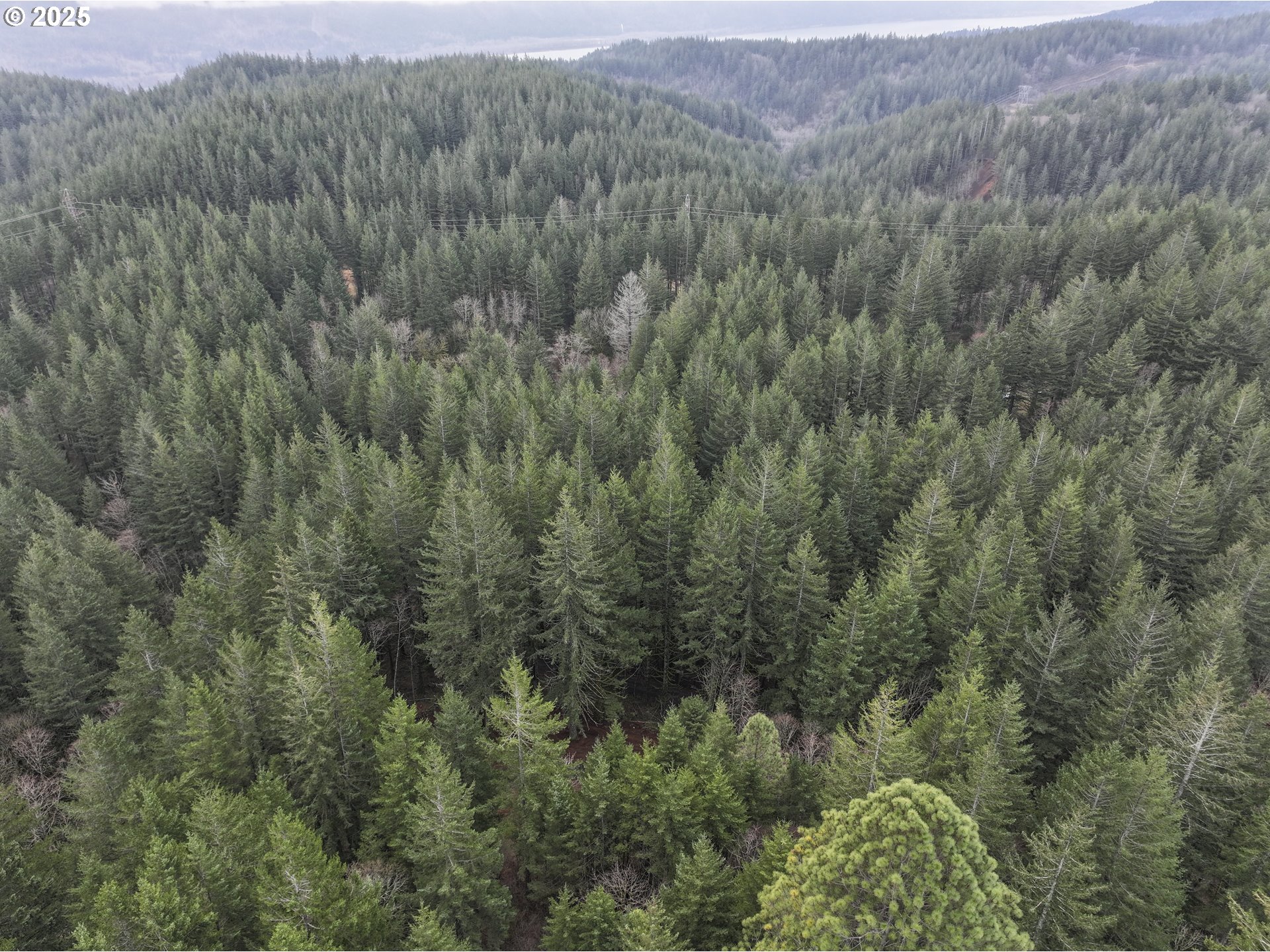 Kueffler Road Stevenson, WA 98648 - Photo 35 of 36