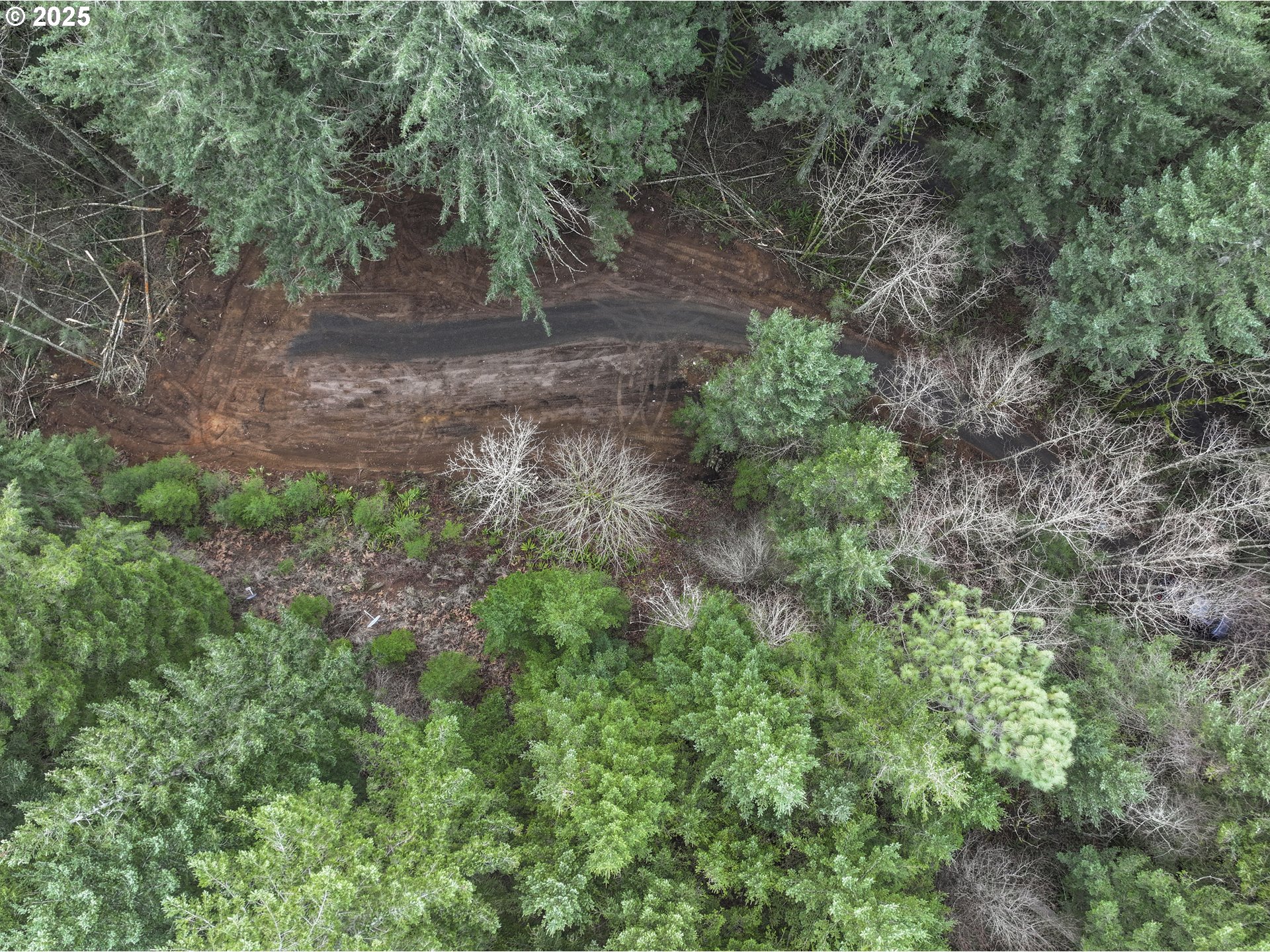 Kueffler Road Stevenson, WA 98648 - Photo 36 of 36 a view of a yard with large trees