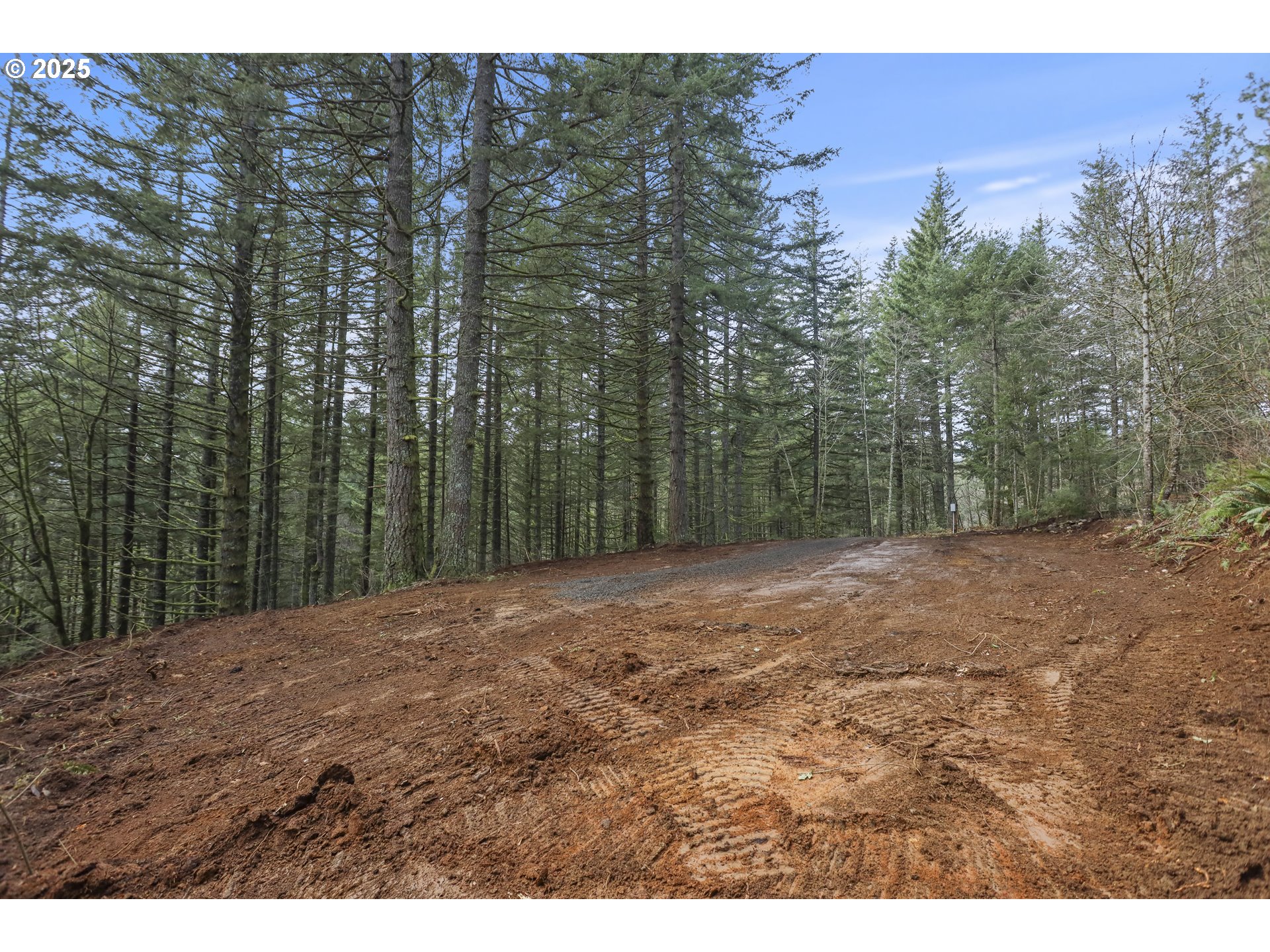 Kueffler Road Stevenson, WA 98648 - Photo 4 of 36 a view of a yard with trees in the background