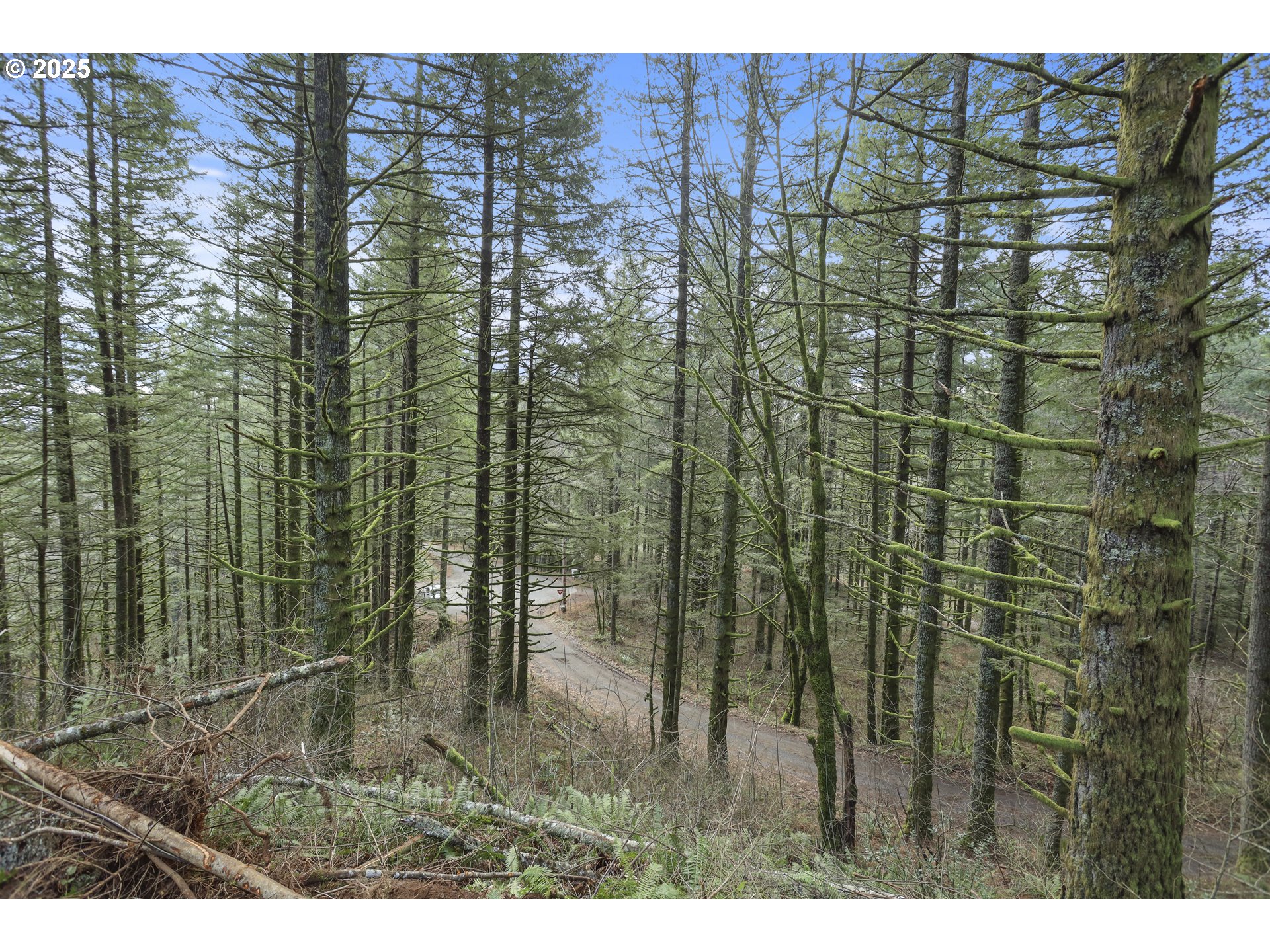 Kueffler Road Stevenson, WA 98648 - Photo 5 of 36