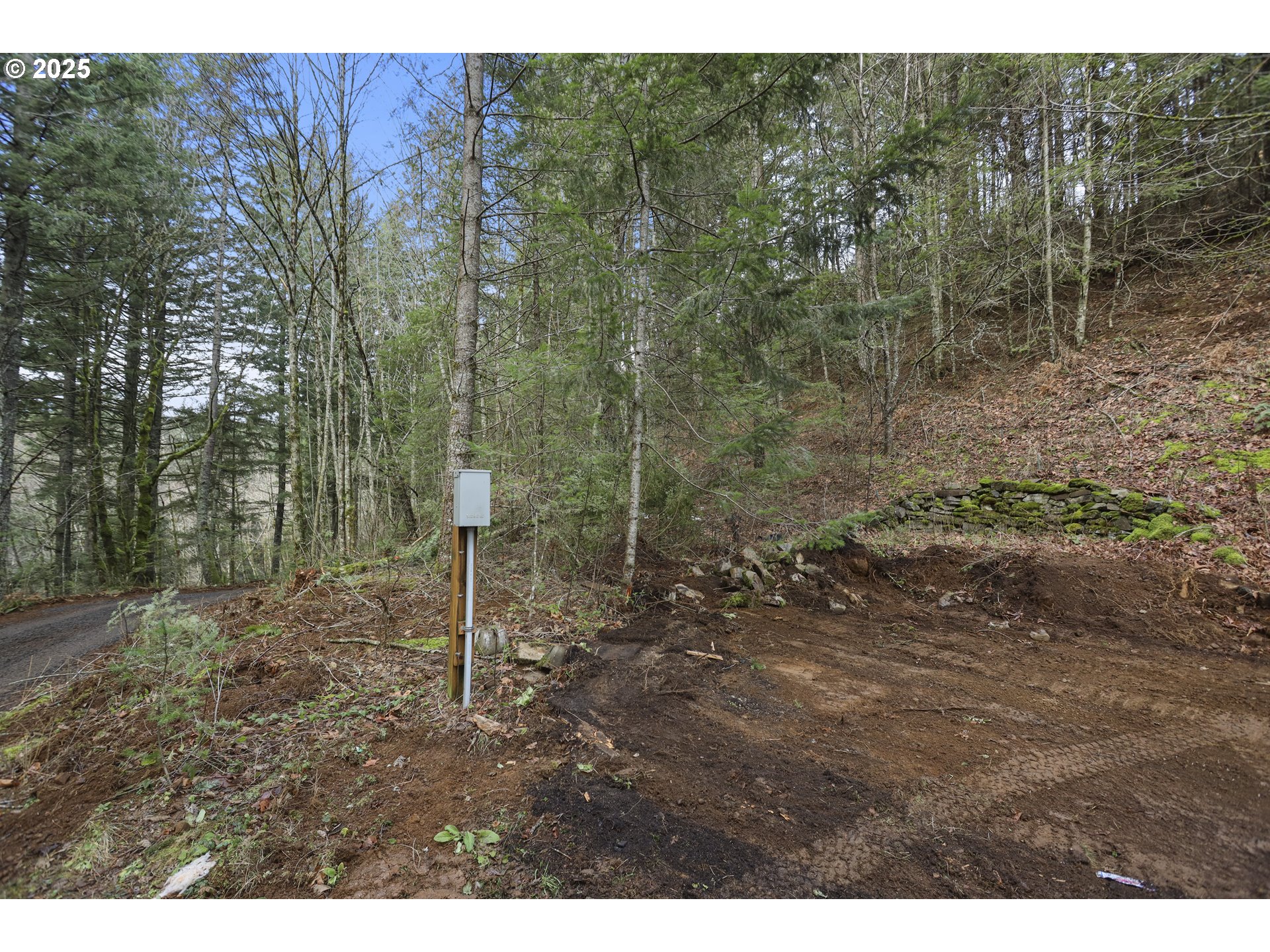 Kueffler Road Stevenson, WA 98648 - Photo 8 of 36 a view of a forest filled with trees