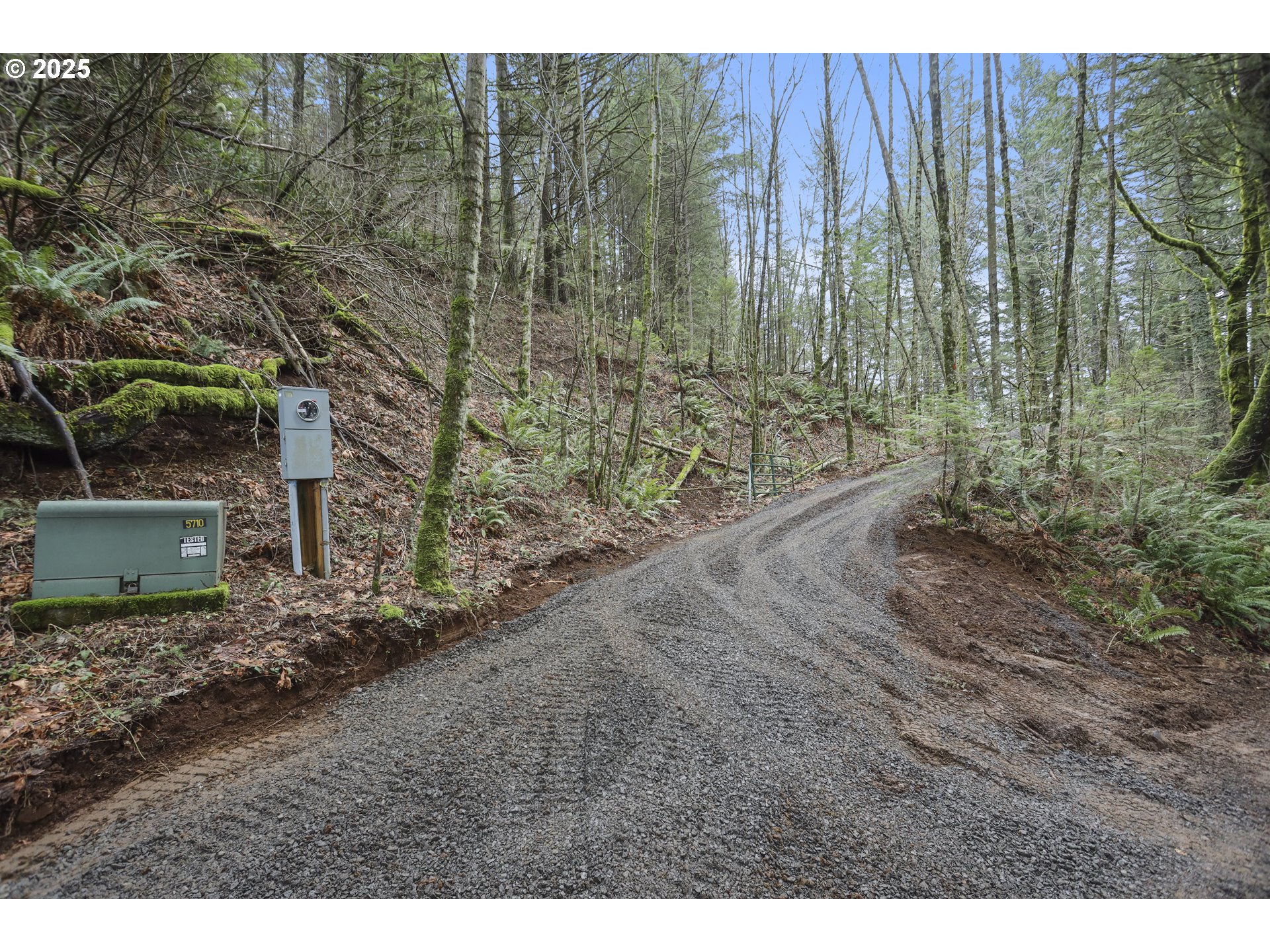 Kueffler Road Stevenson, WA 98648 - Photo 9 of 36 a view of a backyard with plants