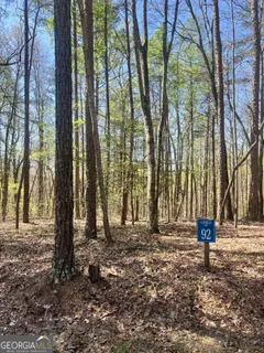 $45,000 | Lot 92 Doll Mountain Road, Ellijay, GA 30540