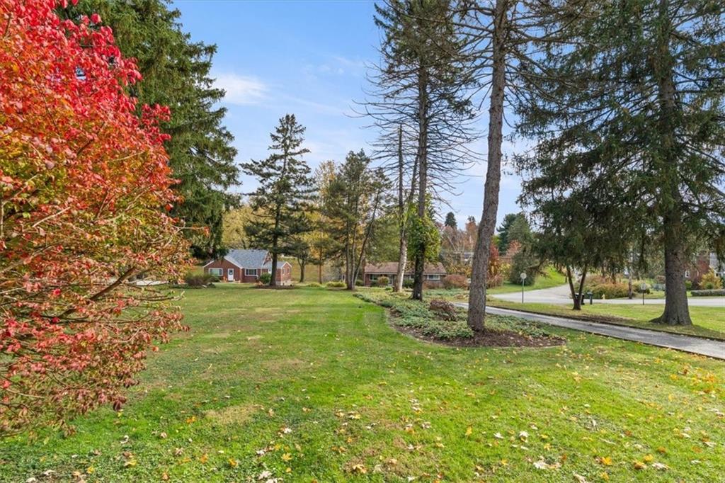 201 Dorseyville Road Pittsburgh, PA 15215 - Photo 32 of 40 a view of a tree in a yard