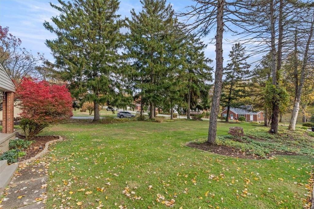 201 Dorseyville Road Pittsburgh, PA 15215 - Photo 33 of 40 a view of a tree in a yard