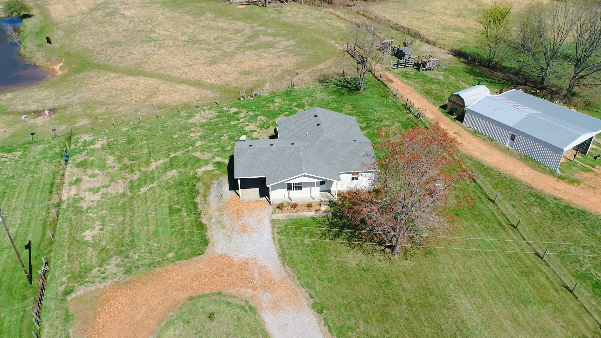 254 Purdom Road Almo, KY 42020 - Photo 1 of 70 Gallery Image 1