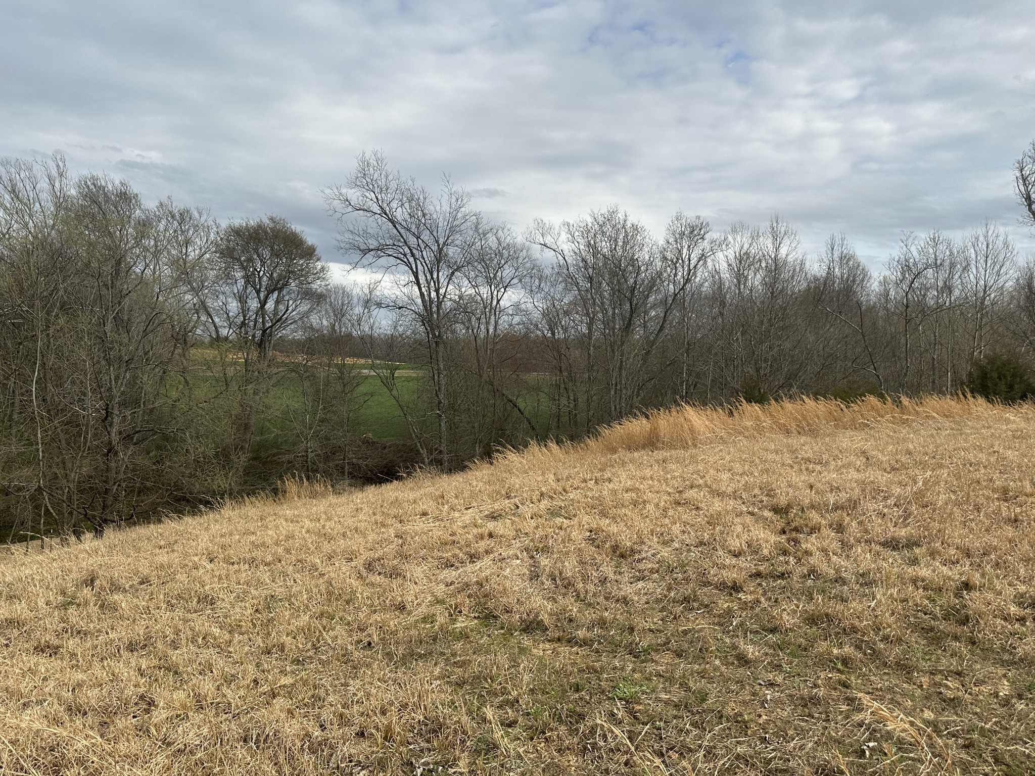 254 Purdom Road Almo, KY 42020 - Photo 40 of 70 Gallery Image 40