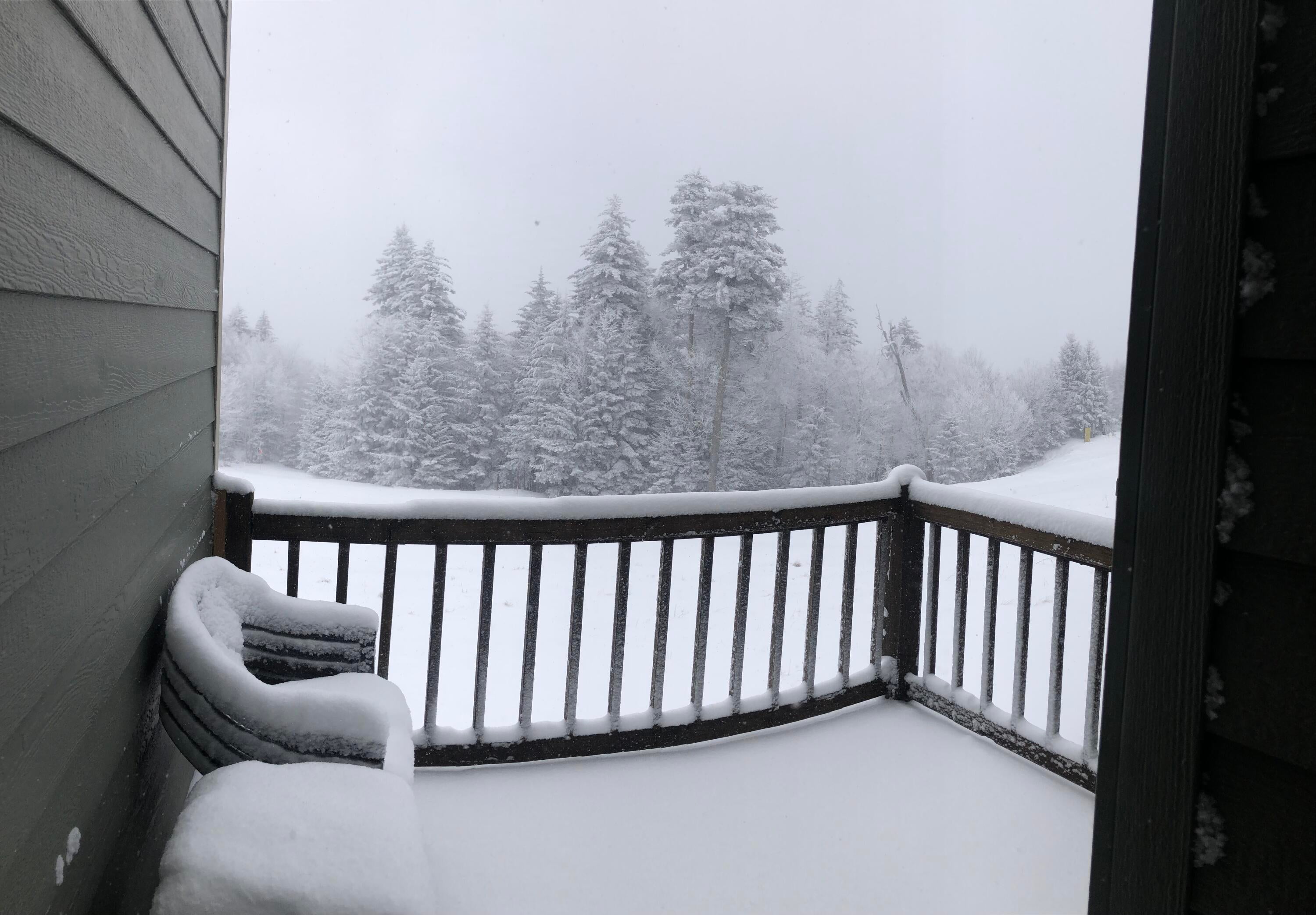 26 Powder Ridge Snowshoe, WV 26209 - Photo 8 of 28 Gallery Image 8