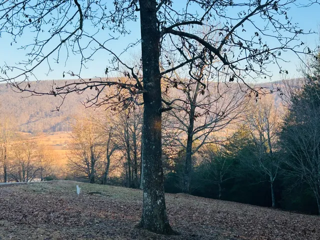 $50,000 | 0 Skyhigh Drive, Unit 23&24, Dunlap, TN 37327