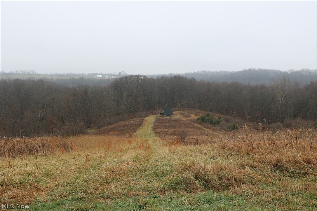 4700 Fostor Road Dresden, OH 43821 - Photo 21 of 30 Gallery Image 21