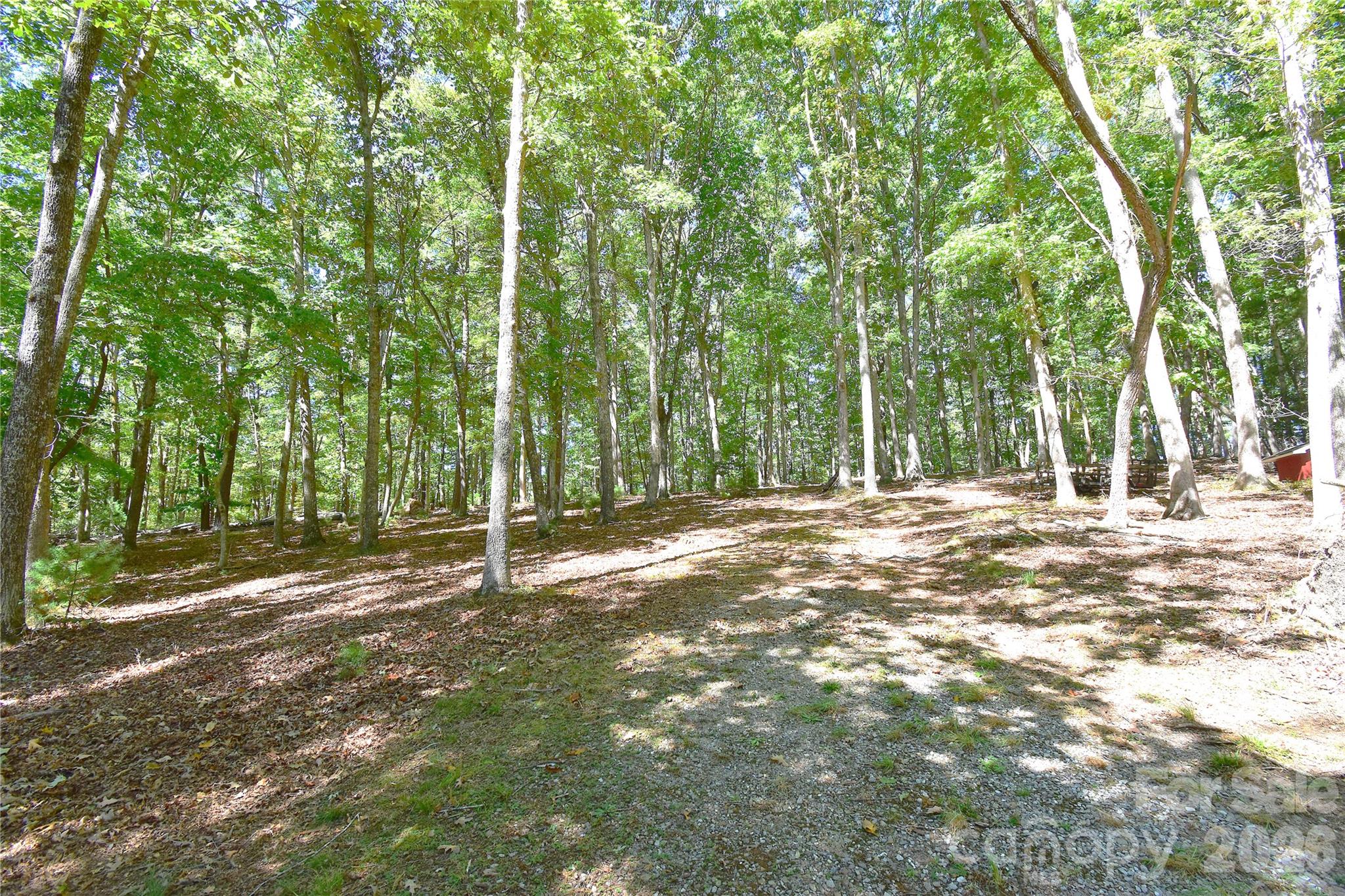 39 Maynard Road Candler, NC 28715 - Photo 43 of 43 Gallery Image 43