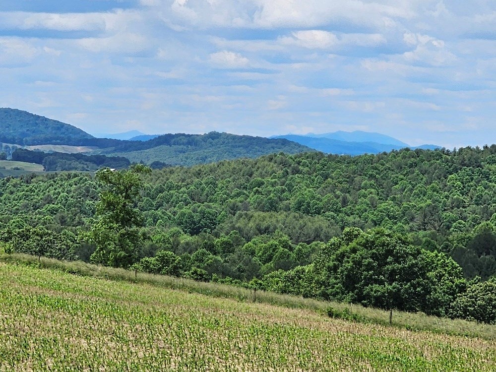 539 Crestview Road Galax, VA 24333 - Photo 30 of 46 Gallery Image 30