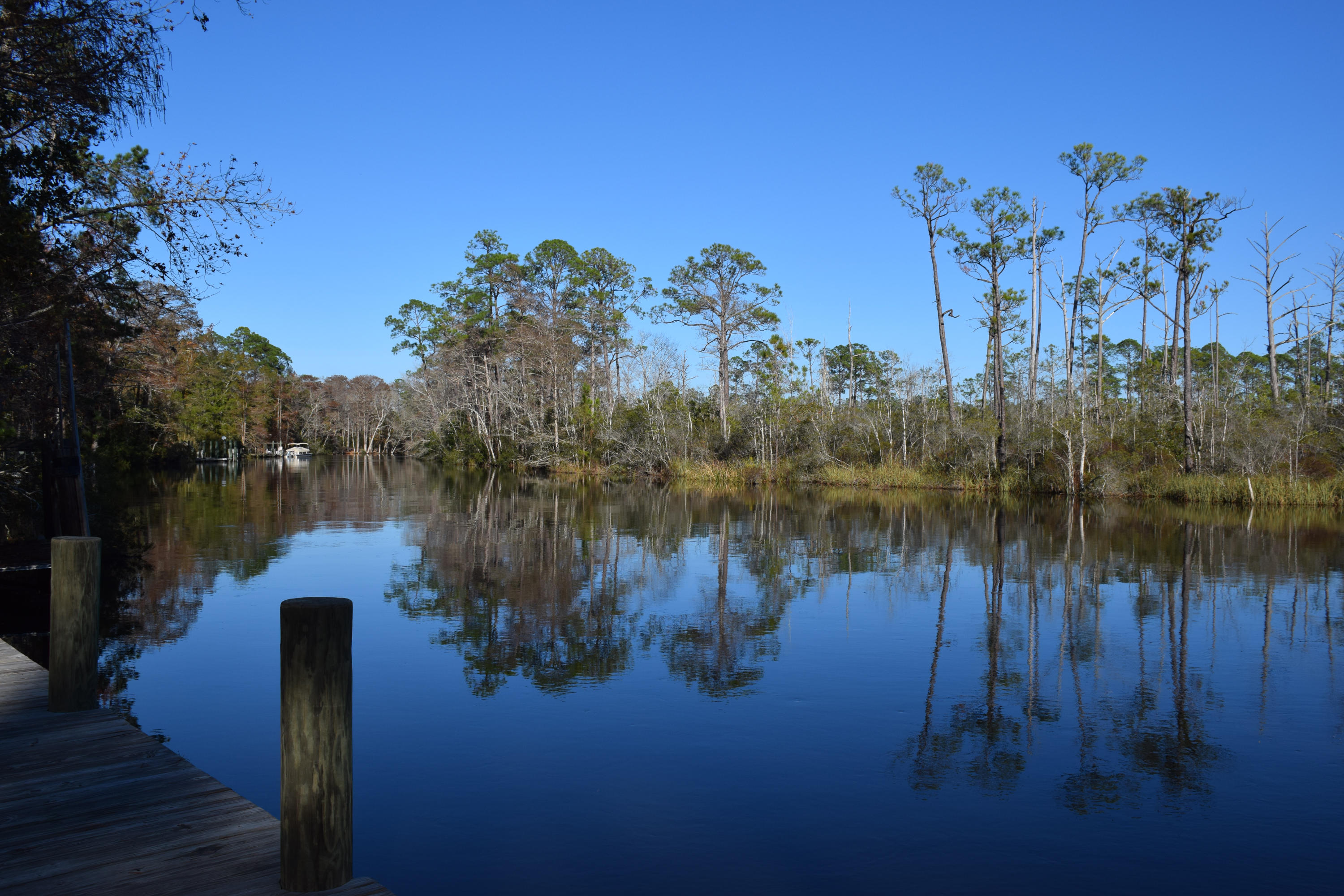 Alaqua Bayou