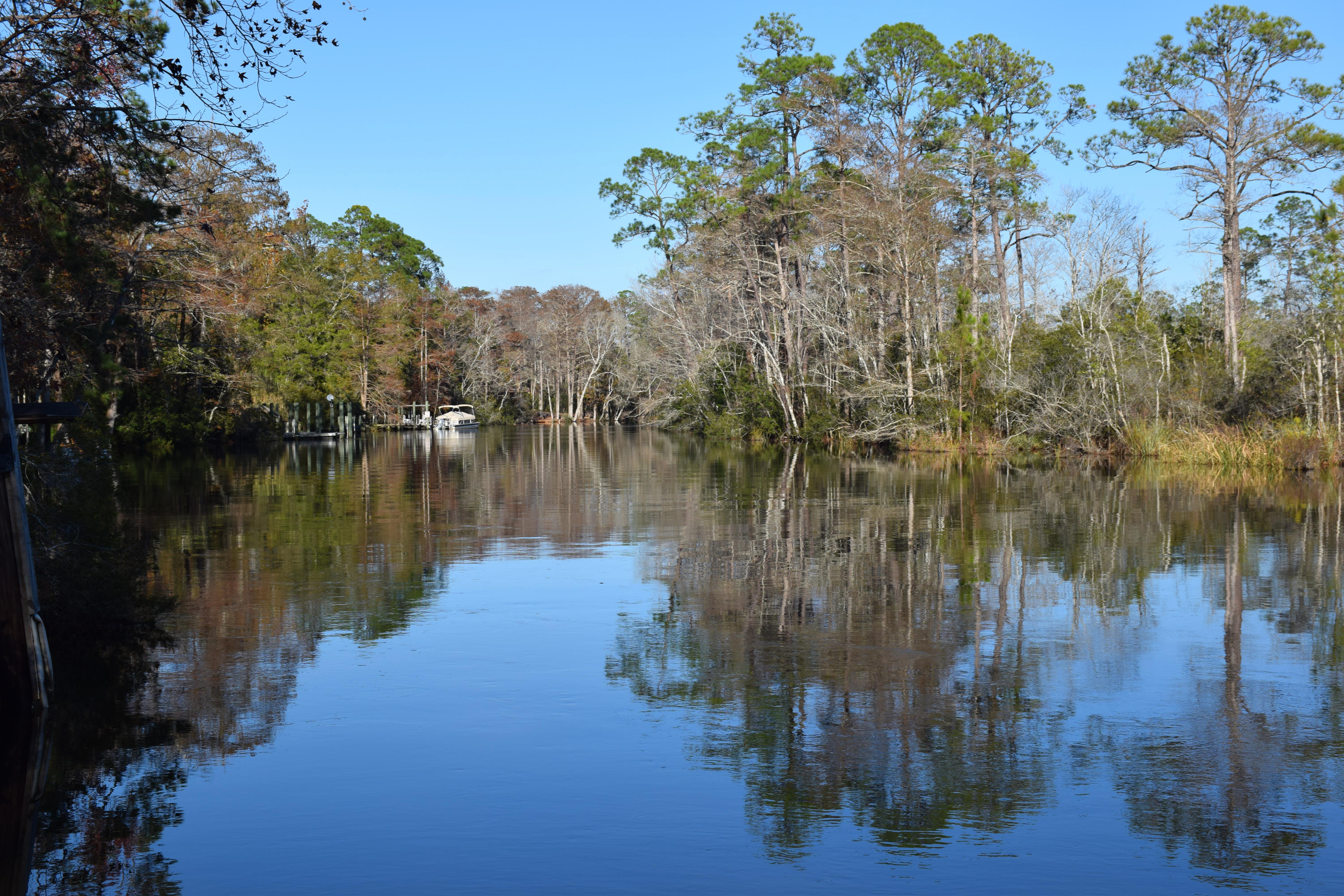 Lot 8 Portland Park Road Freeport, FL 32439 - Photo 12 of 17 Peaceful