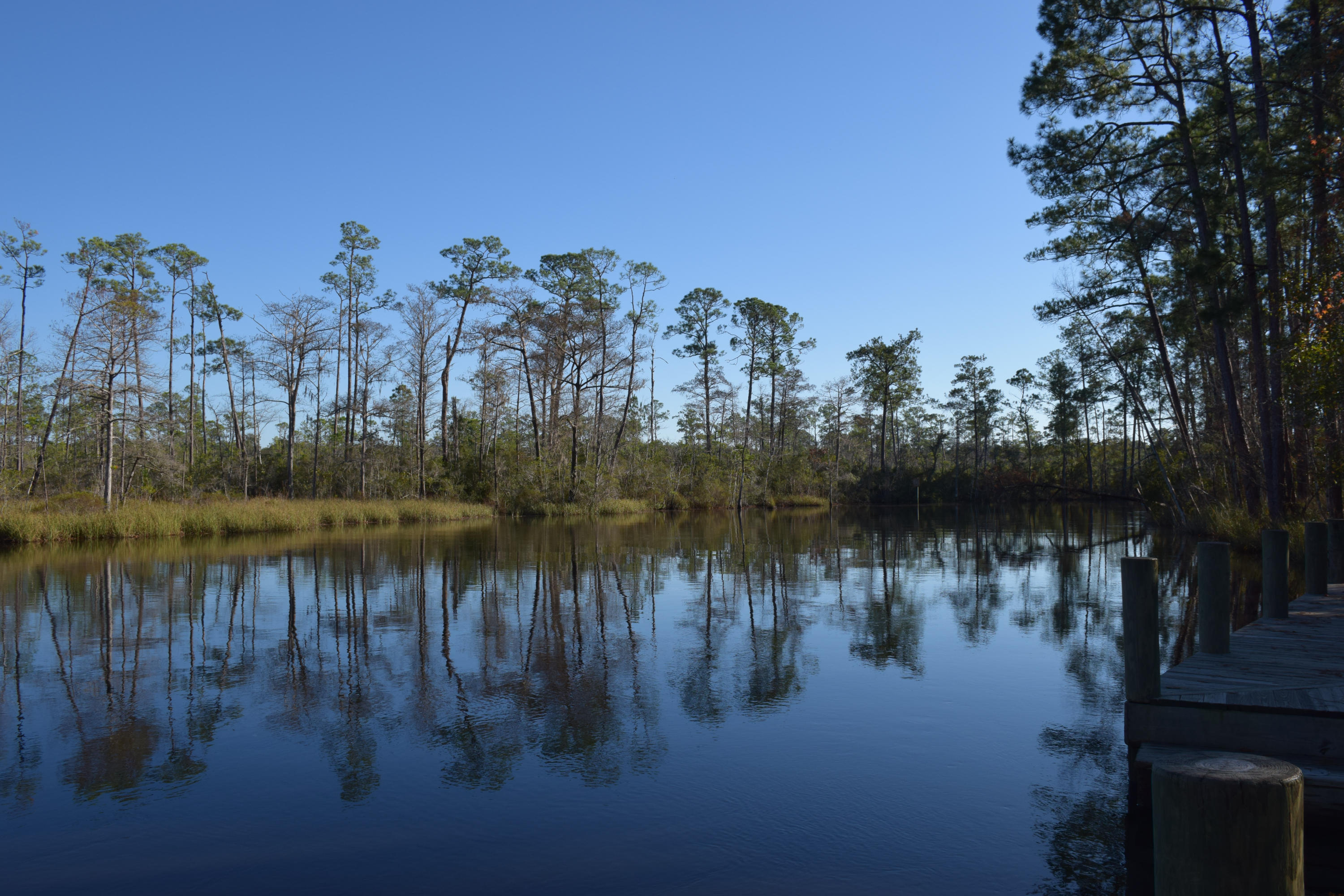 Lot 8 Portland Park Road Freeport, FL 32439 - Photo 14 of 17 Alaqua Estates-05