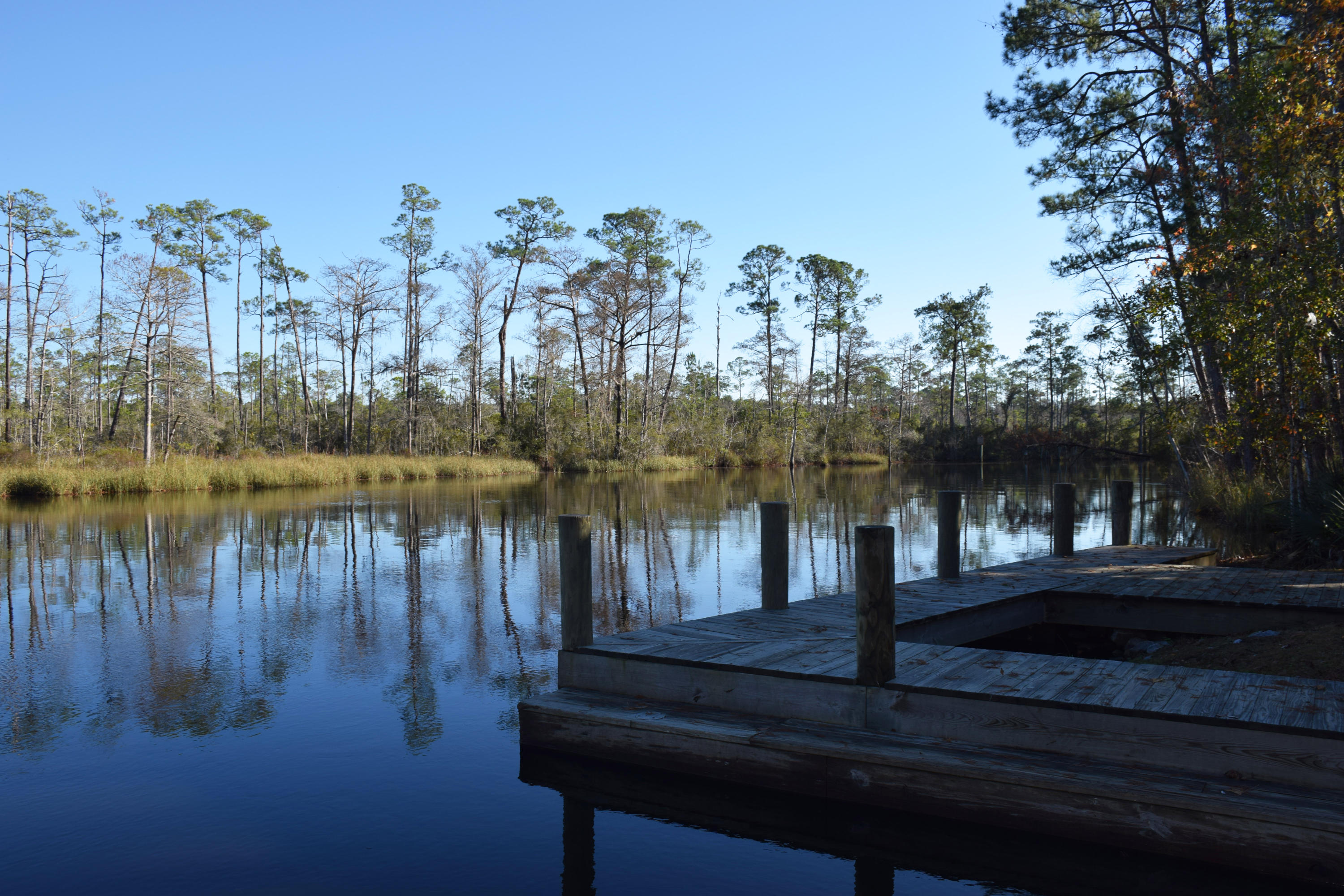 Lot 8 Portland Park Road Freeport, FL 32439 - Photo 15 of 17 Alaqua Estates lot dock and bayou