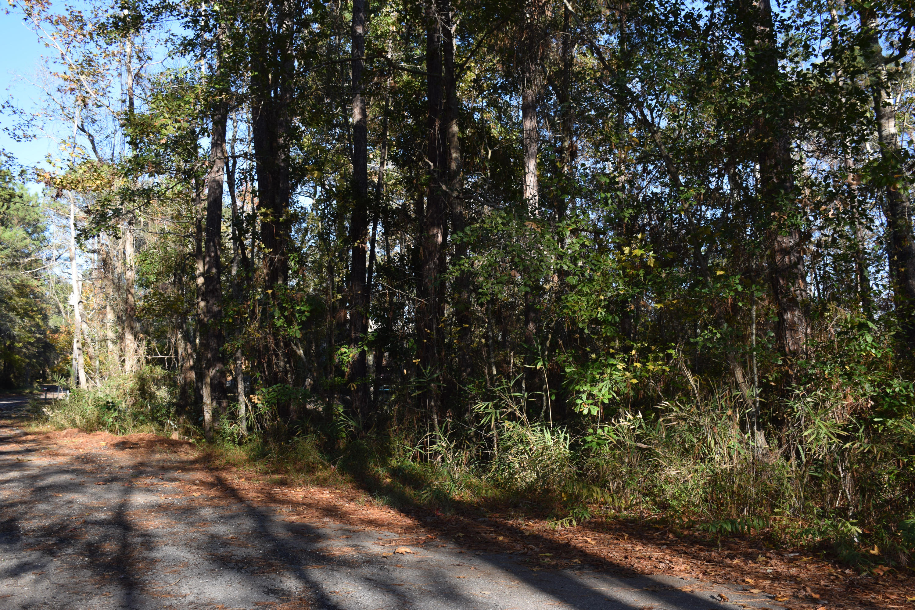 Lot 8 Portland Park Road Freeport, FL 32439 - Photo 8 of 17 Road is roughly paved