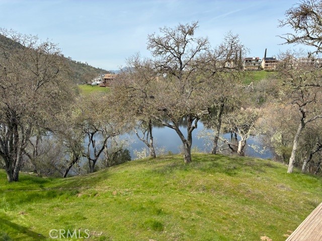 2377 Comanche Way Paso Robles, CA 93446 - Photo 19 of 33 a backyard of a house with lots of green space
