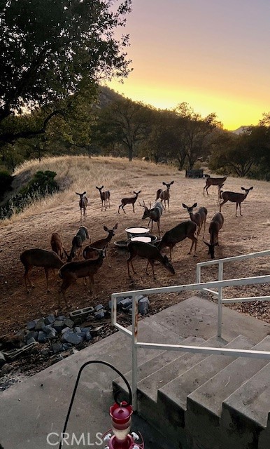 2377 Comanche Way Paso Robles, CA 93446 - Photo 25 of 33 a view of a parking area