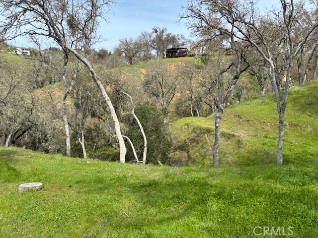 2377 Comanche Way Paso Robles, CA 93446 - Photo 28 of 33 a view of a garden