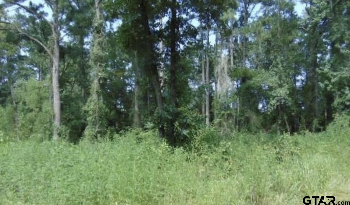 260 Chelsea Lane Bullard, TX 75757 - Photo 2 of 6 a view of a lush green forest