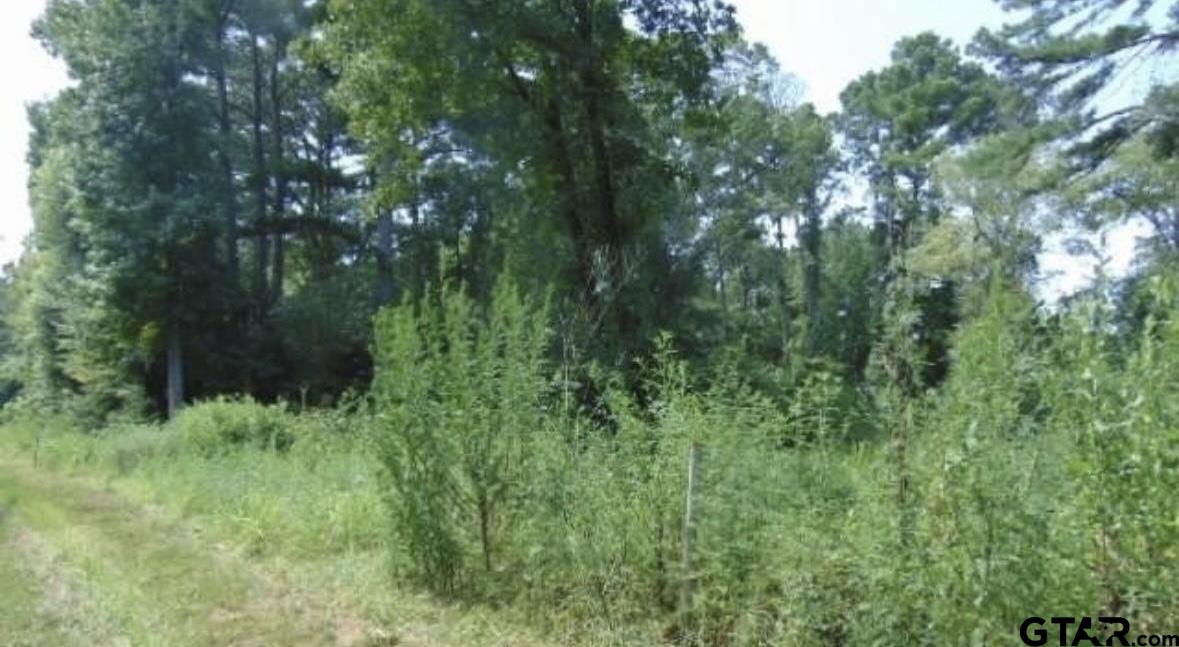 260 Chelsea Lane Bullard, TX 75757 - Photo 3 of 6 a view of a lush green forest