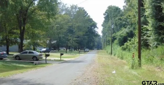 a view of a park with large trees