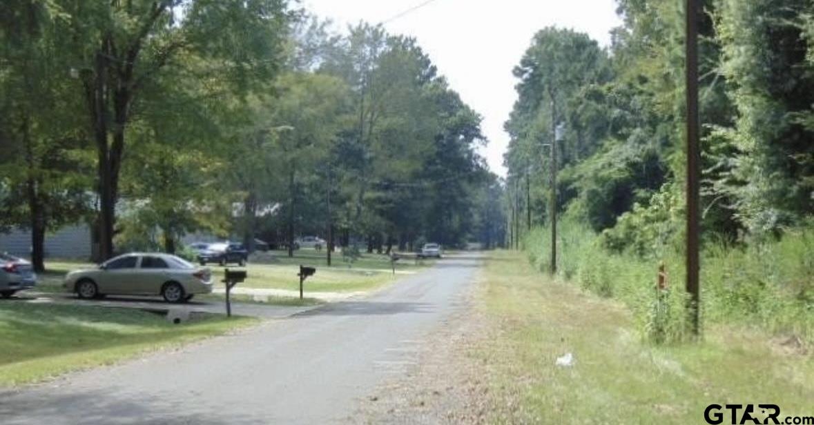 260 Chelsea Lane Bullard, TX 75757 - Photo 5 of 6 a view of a park with large trees