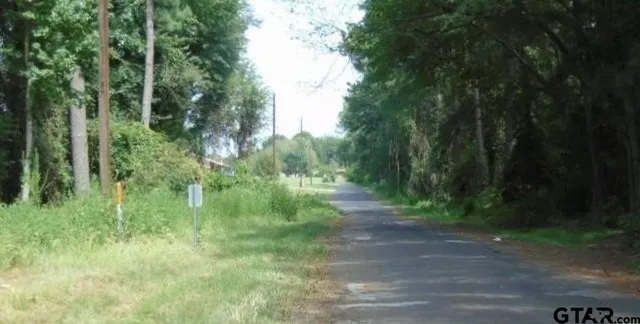 a lush green forest view with lots of trees