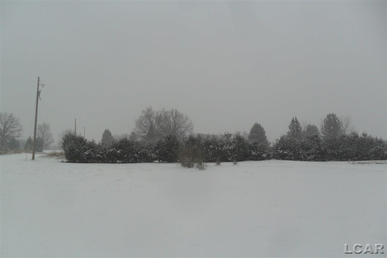 2535 Sharp Adrian, MI 49221 - Photo 9 of 35 31309256-8.JPG