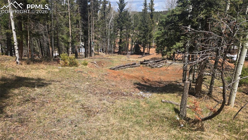 151 Mt Elbert Road Florissant, CO 80816 - Photo 3 of 5 a view of outdoor space with trees