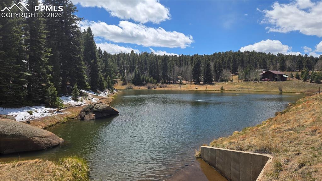 151 Mt Elbert Road Florissant, CO 80816 - Photo 4 of 5 a view of swimming pool with chairs and lake view