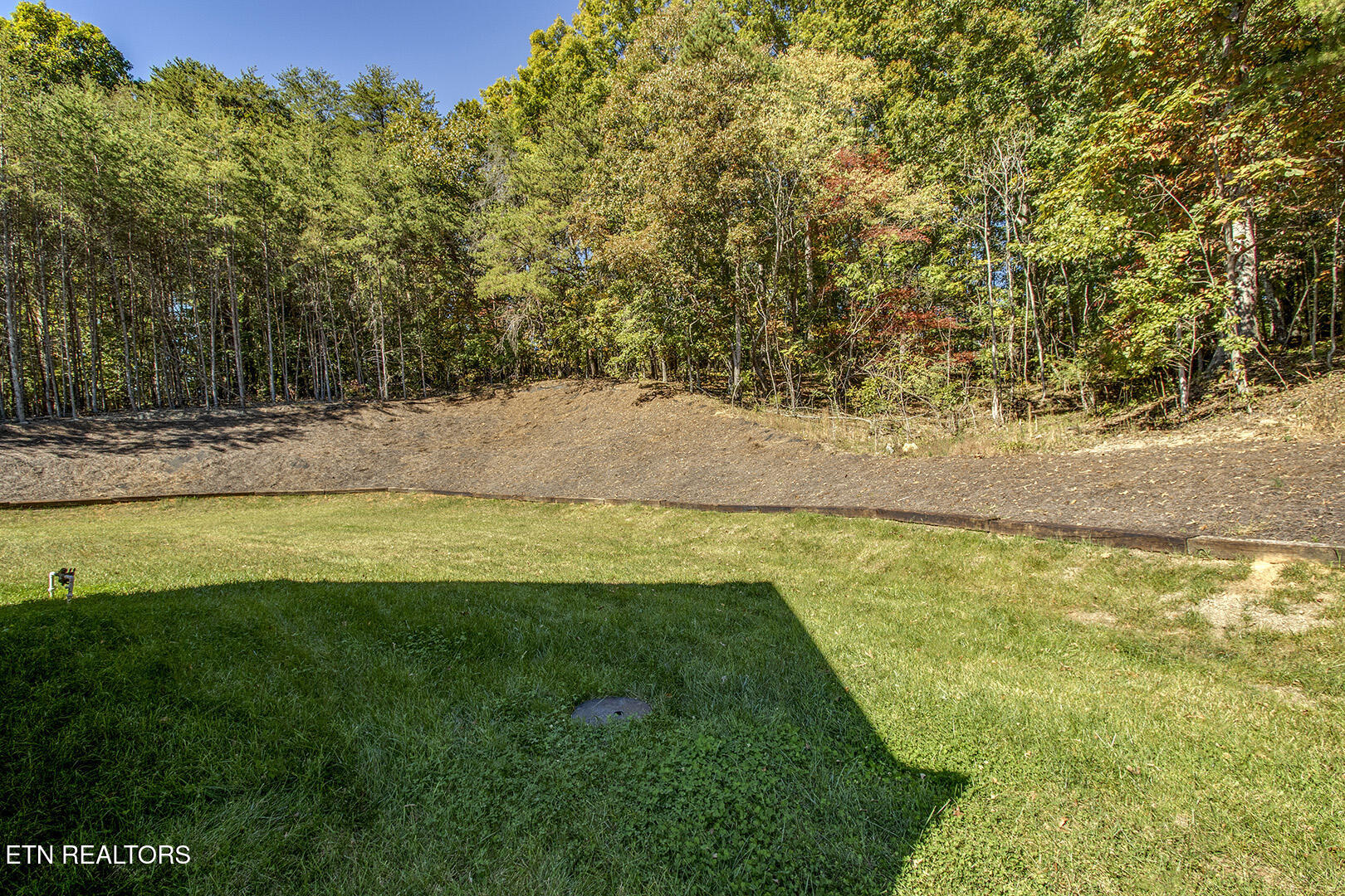 27022 Hines Valley Road Loudon, TN 37774 - Photo 50 of 60 50_HinesValleyRoad_27022_Backyard01