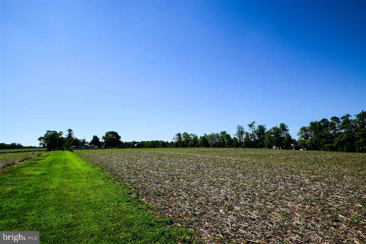 1358 New Park Road Fawn Grove, PA 17321 - Photo 5 of 36 Gallery Image 5