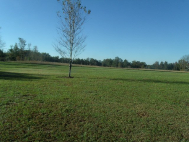 0 Southwest Sand Hill Road Thomson, GA 30824 - Photo 3 of 6 Front