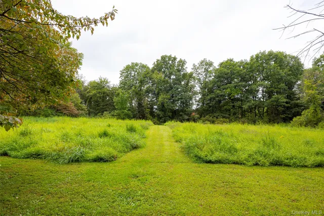 a view of yard with green space