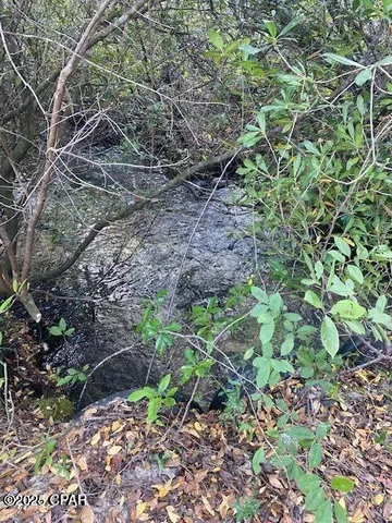 $956,250 | 21526 Northwest Isoletta Lane, Altha, FL 32421