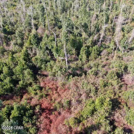 $956,250 | 21526 Northwest Isoletta Lane, Altha, FL 32421