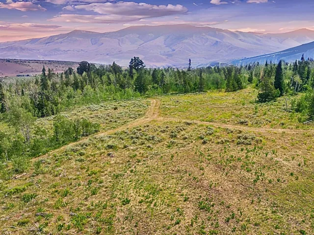 $1,000,000 | Tbd Spring Creek Ranch Road, Silverthorne, CO 80498