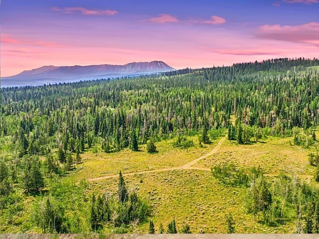 $1,000,000 | Tbd Spring Creek Ranch Road, Silverthorne, CO 80498