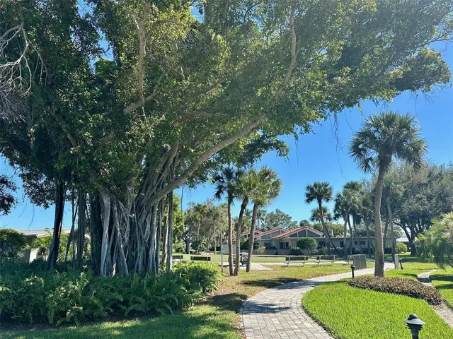 a view of a swimming pool with a garden