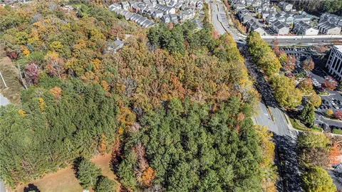 a view of a yard with plants and large trees