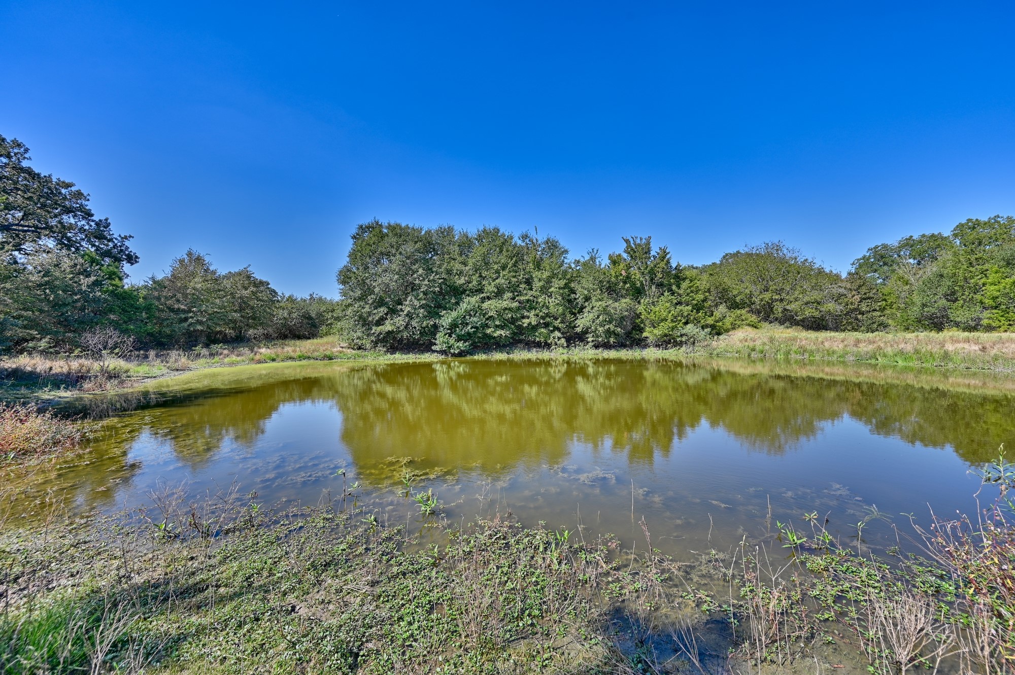 Tbd Ullrich Road Carmine, TX 78932 - Photo 14 of 24 This serene property features a small pond surrounded by lush greenery and trees, offering a peaceful, natural setting perfect for relaxation and outdoor activities.