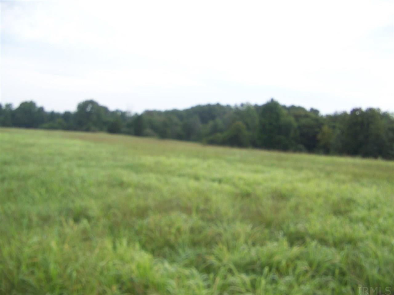 Liberty Church Rd Street Mitchell, IN 47446 - Photo 3 of 4