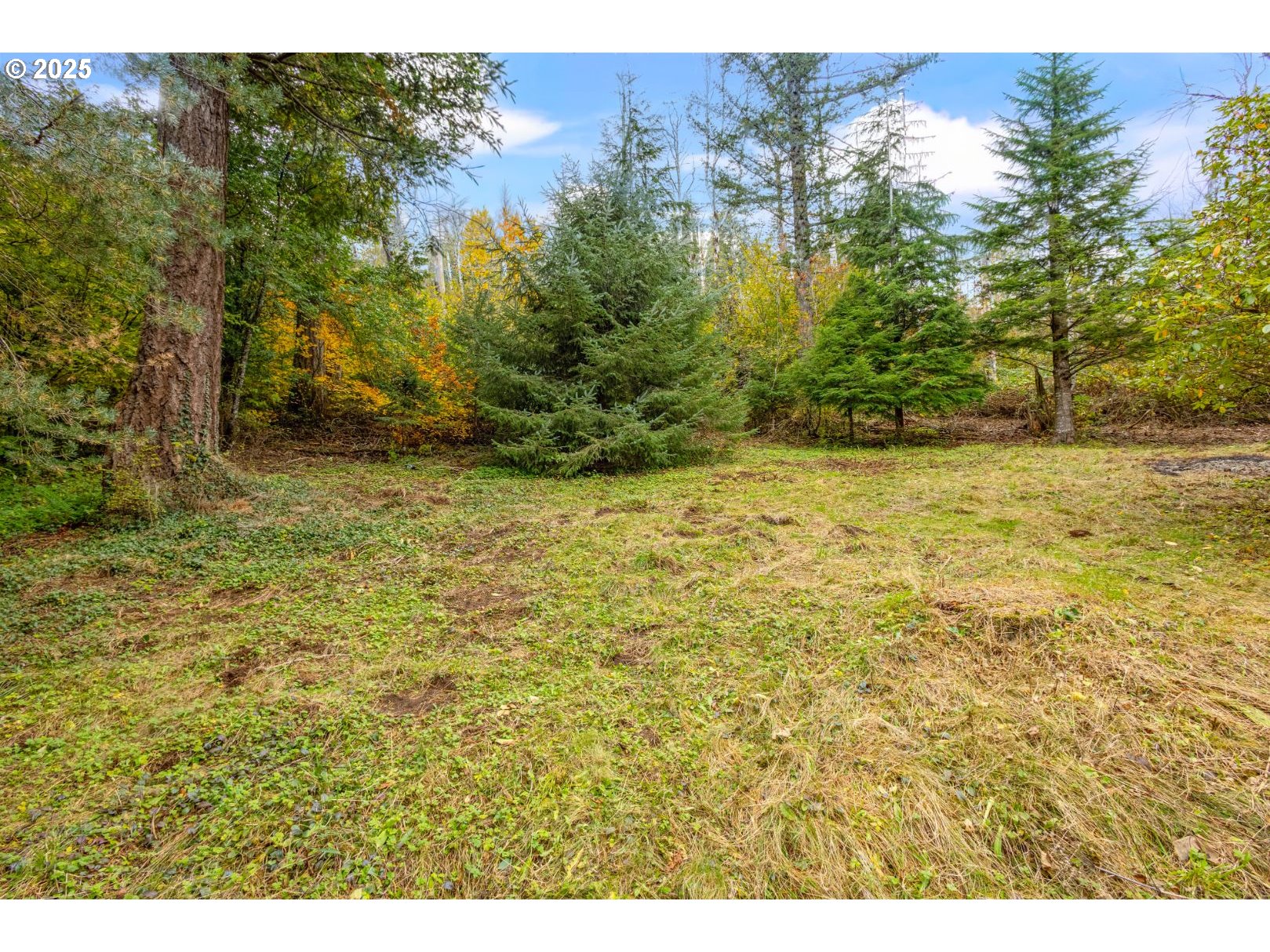 421 Southeast Pounder Road Corbett, OR 97019 - Photo 36 of 40