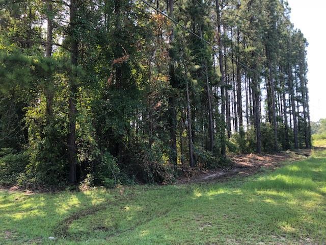 0 Ridgeway Drive Fort Valley, GA 31030 - Photo 1 of 5 Primary Photo