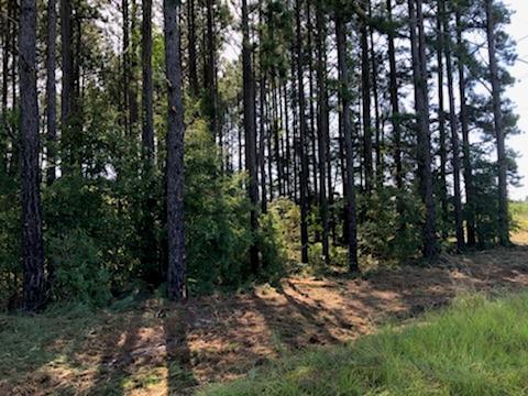 0 Ridgeway Drive Fort Valley, GA 31030 - Photo 3 of 5 Additional Photo